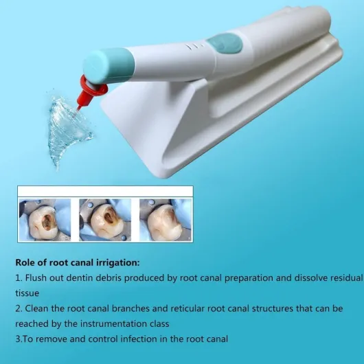 Endo Irrigateur dentaire professionnel avec 120 embouts pour le nettoyage du canal radiculaire et l'irrigation des dents, équipement portable pour la maison et la clinique