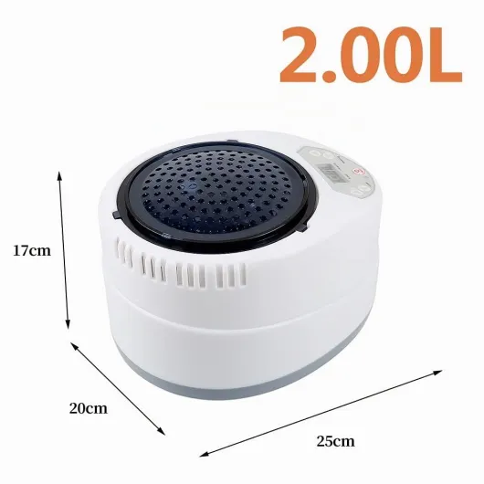 Générateur de vapeur mobile pour sauna vapeur, kit de cuisson à la vapeur, chaudière à vapeur, 2 l, 1000 W Kit de Cuisson Vapeur