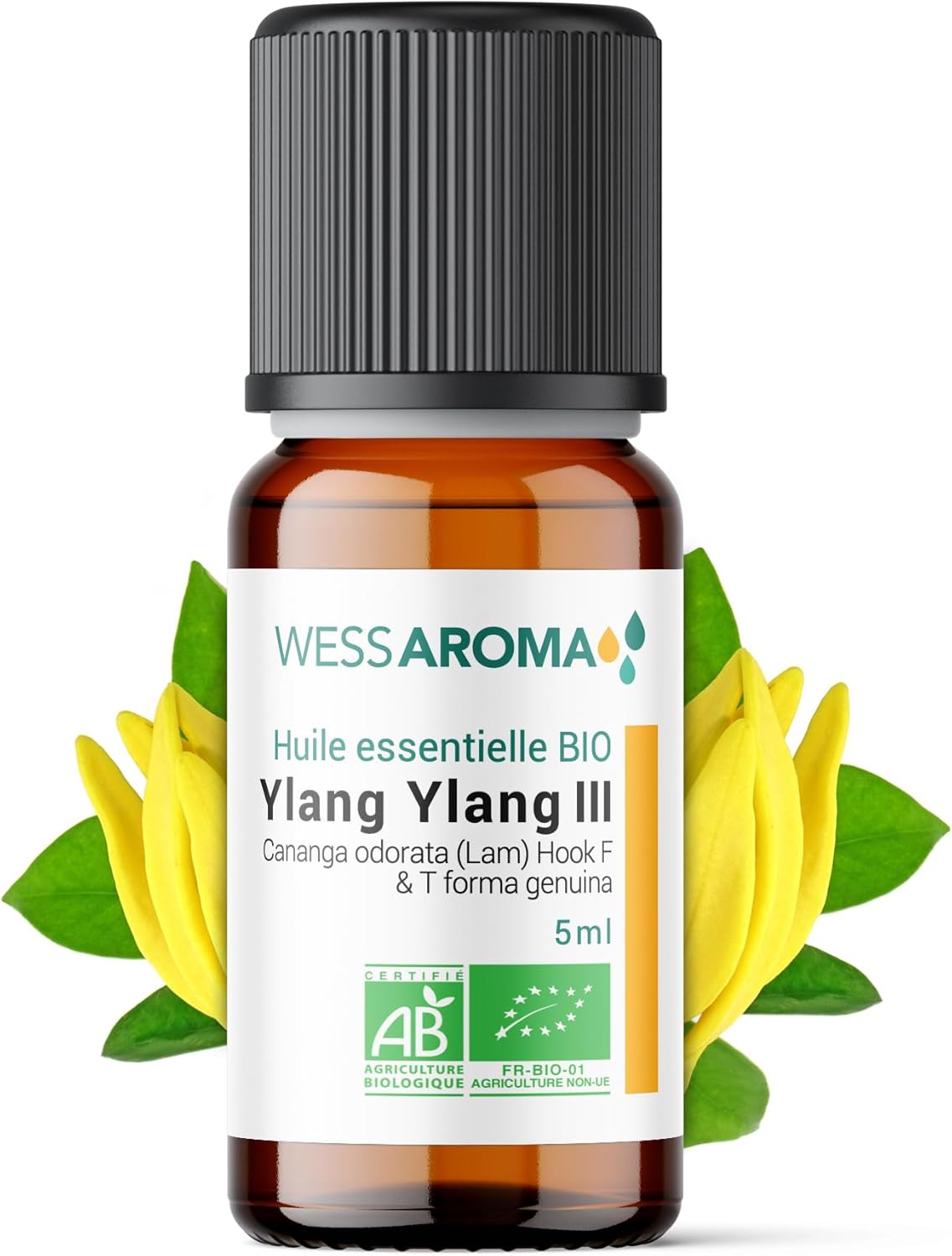 Huile Essentielle BIO d'Ylang Ylang III 5ML - Certifiée AB - 100% Pure & Naturelle, Chémotypée HEBBD - Pratiques agricoles durables - Analysée et conditionnée en France Ylang-ylang 5 ml (Lot de 1)