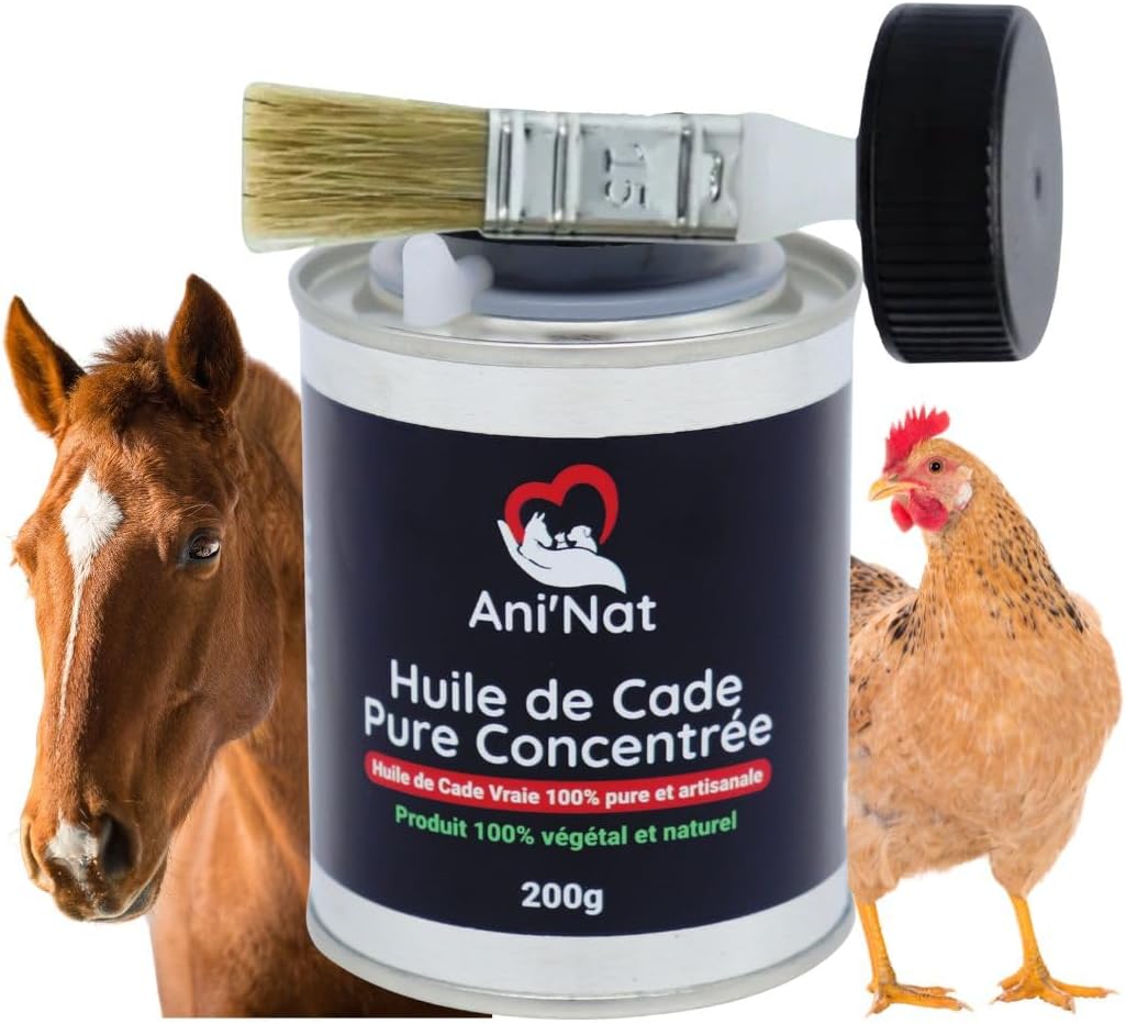 AniNat Huile de Cade Pure Concentrée 100% Naturelle - Pinceau APPLICATEUR vissé dans Le Bouchon - Soin des Pattes des Poules, Sabots Chevaux, Soles Ramollies, Dermite - Pot 200g 200 g