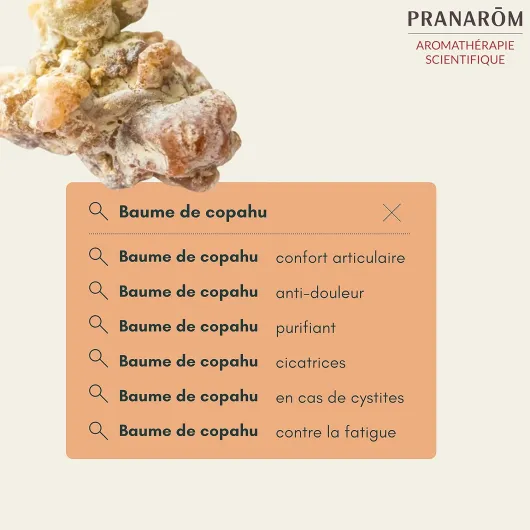 816f2TpeoJS._AC_SL1500_