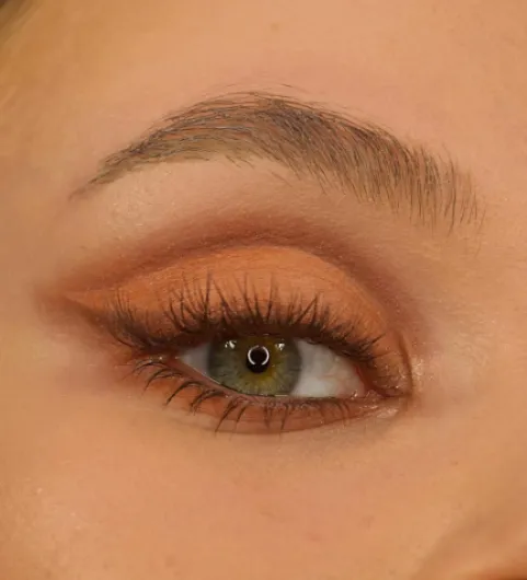 81i1yjVFWsL._AC_SL1500_