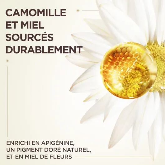 61R3CVxdXoL._AC_SL1006_