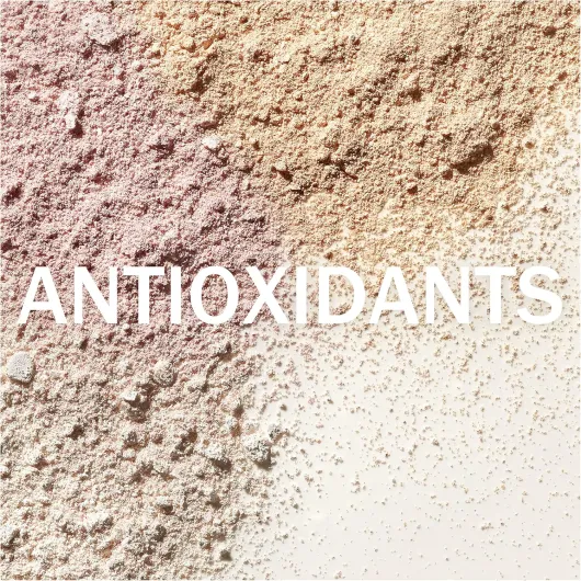 A1quoIjyXrL._AC_SL1500_