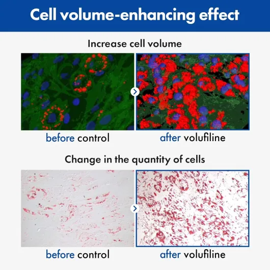 71RQ3572K1L._AC_SL1500_