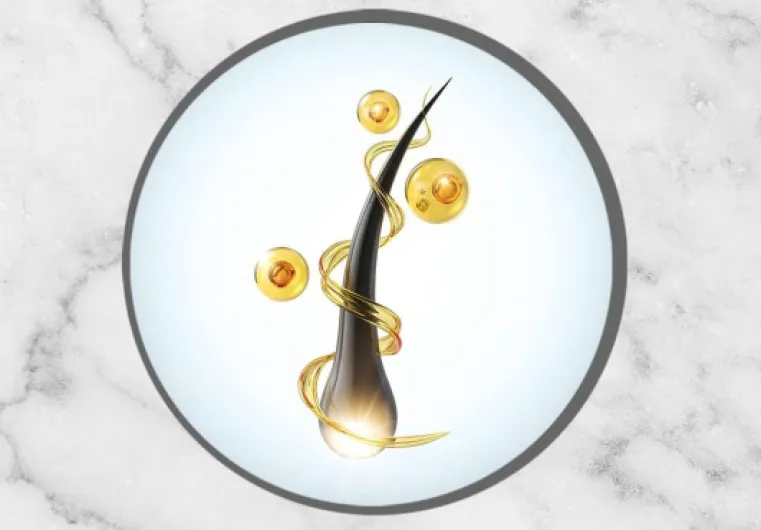 51lN9hWR6gL._AC_SL1024_