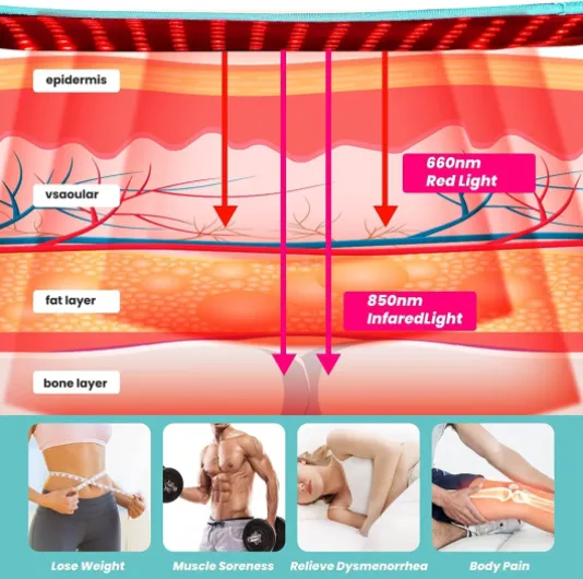 71jHXlkjxSL._AC_SL1500_