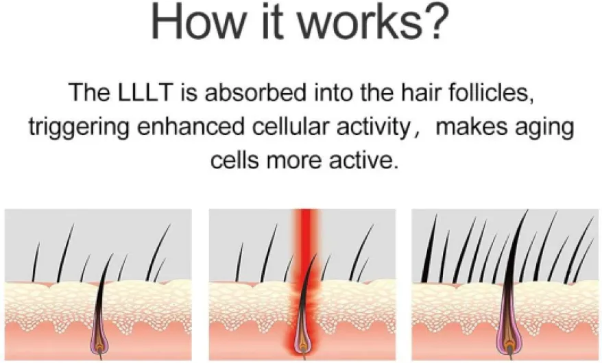 61CJO0CNFzL._AC_SL1000_