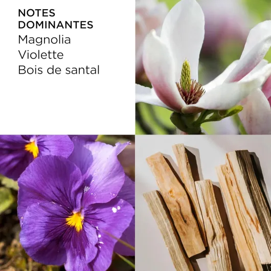 813dpkyX9BL._AC_SL1500_