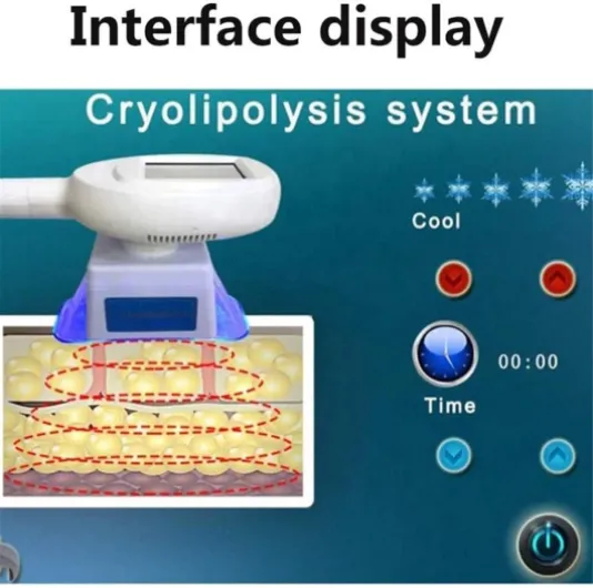 Électrique Geler Minceur Machine Cryolipolyse Instrument De Lipolyse Machine Avec 3 Poignées Congelé Éclater Graisse Instrument Minceur Pour Levage de Visage Amincissant le Corps