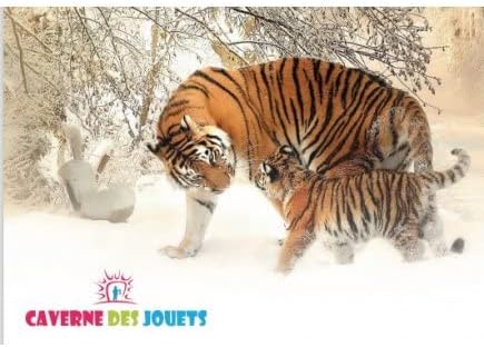 Coffret Laboratoire des parfums Enfant des 8 Ans - Atelier Creation aromes, sels de Bain - cosmetiques - Set Jeu Science avec Carte Tigre