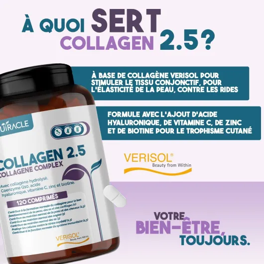 Collagène Hydrolysé Verisol® 2500 mg + Acide Hyaluronique + Coenzyme Q10 - Complément pour la Peau, les Cheveux et les Os avec Biotine, Zinc et Vitamine C - 120 comprimés, Nutracle 120 unité (Lot de 1)