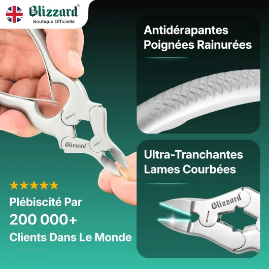 81bthdL21wL._AC_SL1500_