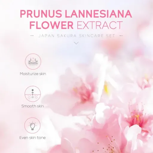 Test LAIKOU Sakura Ensemble de Soins du Visage : un petit kit pas cher pour se faire une routine simple